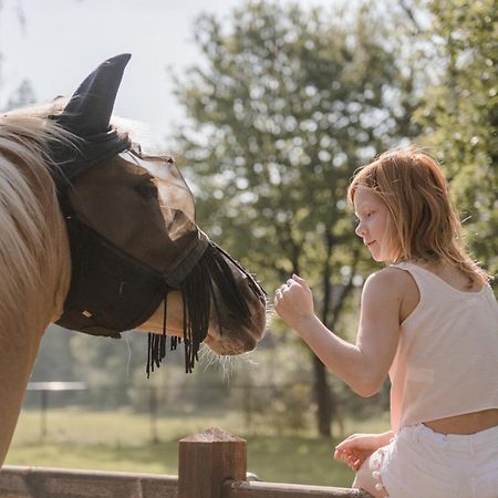 #Glamping@De Verloren Sinjoor Bladel Bagian luar foto